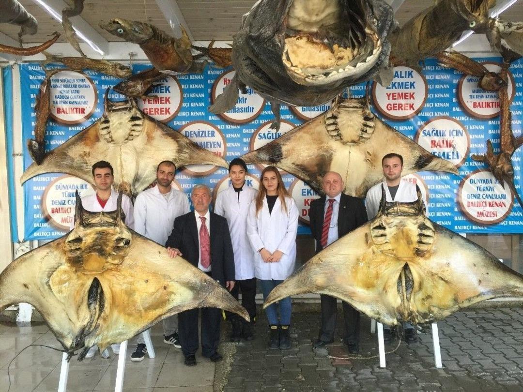 T&uuml;rkiye Deniz Canlıları M&uuml;zesi, &Uuml;niversitelerin İlgi Odağı Oldu