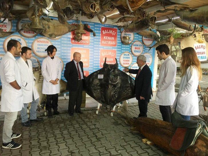 Türkiye Deniz Canlıları Müzesi, Üniversitelerin İlgi Odağı Oldu G3