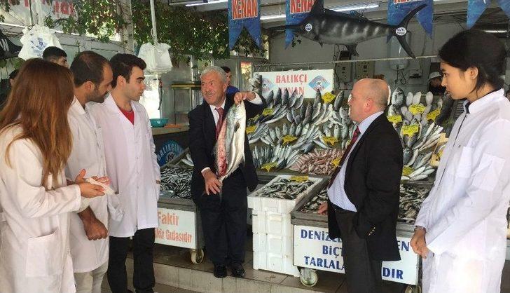 Türkiye Deniz Canlıları Müzesi, Üniversitelerin İlgi Odağı Oldu G5