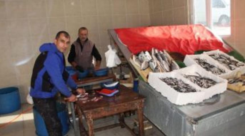 Balık T&uuml;ketimi Arttı