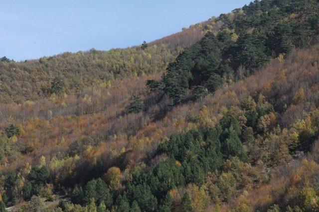 Akdağ’da Sonbahar Güzelliği