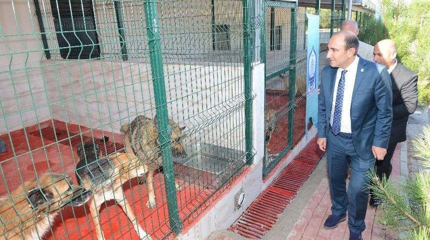 Sevimli Dostlara &ldquo;yıldırım&rdquo; Eli