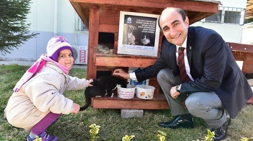 3 Bin 226 Hayvana Sıcak Yuva