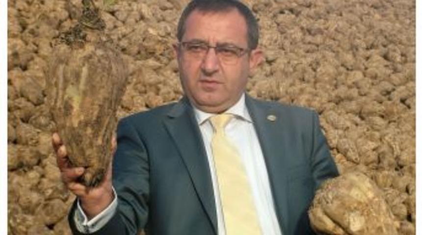 Ahlat&rsquo;ta Şeker Pancarı &Uuml;retimi Arttı