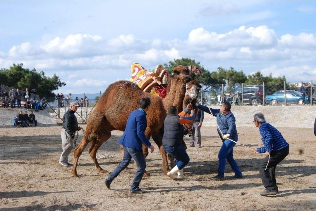 Bayrami&ccedil;&rsquo;te Havut Giydirme T&ouml;reni Yapıldı