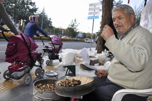 Sonbahar İle Birlikte Mısır Yerini Kestaneye Bıraktı 2