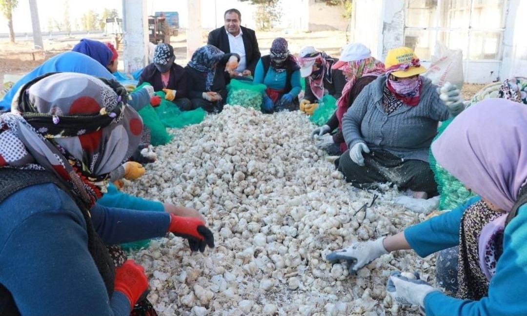 T&uuml;rkiye&rsquo;den Rusya&rsquo;ya Antibiyotik Desteği
