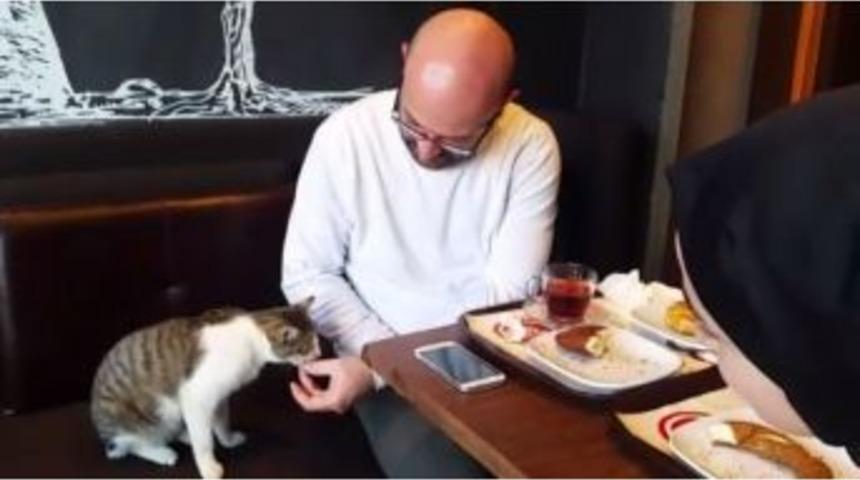 (&ouml;zel Haber) Taksim&rsquo;de Kahvaltı Yapan &Ccedil;ift Yanlarında Oturan Kediyi Eliyle Besledi