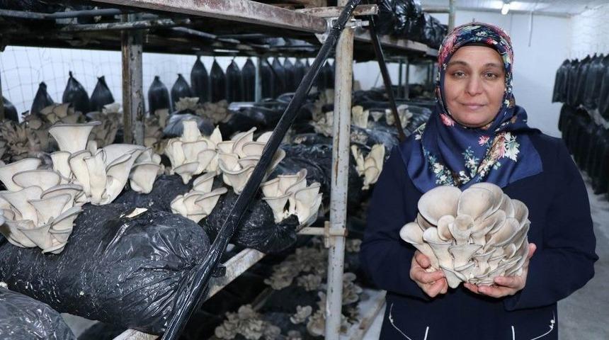 (&ouml;zel Haber) Hobi Olarak Başladı, Siparişlere Yetişemiyor