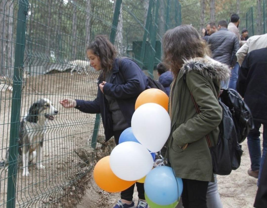 Isparta&rsquo;ya 2 Milyon 750 Bin Tl&rsquo;lik Hayvan Barınağı