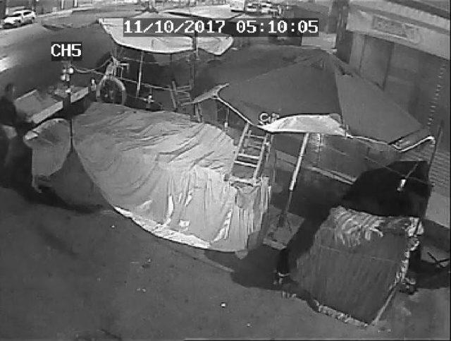 Tabla &Ccedil;alan Hırsız Kulağından Oldu 1