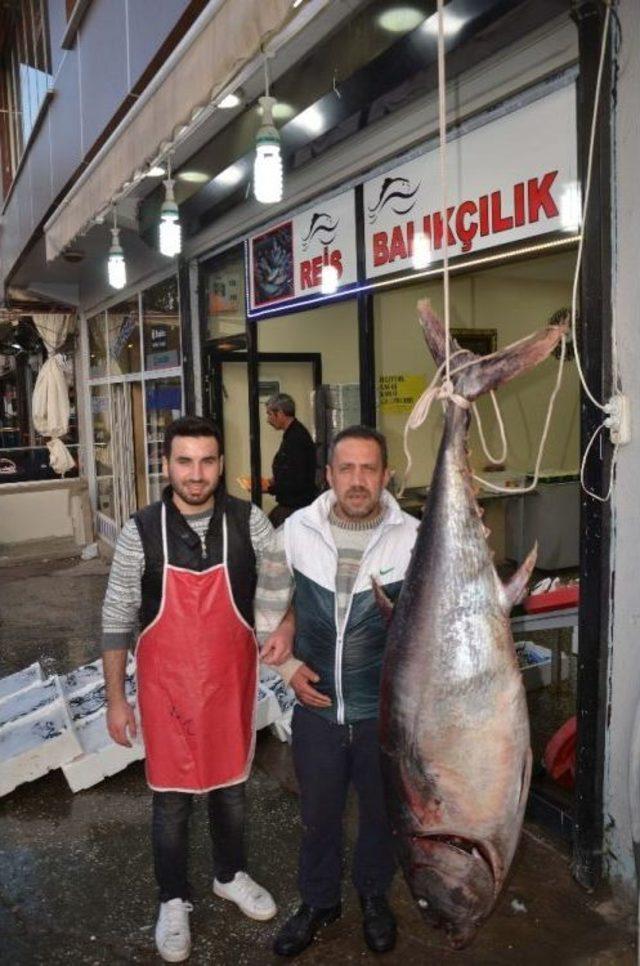 1,5 Metrelik Balığa B&uuml;y&uuml;k İlgi 1