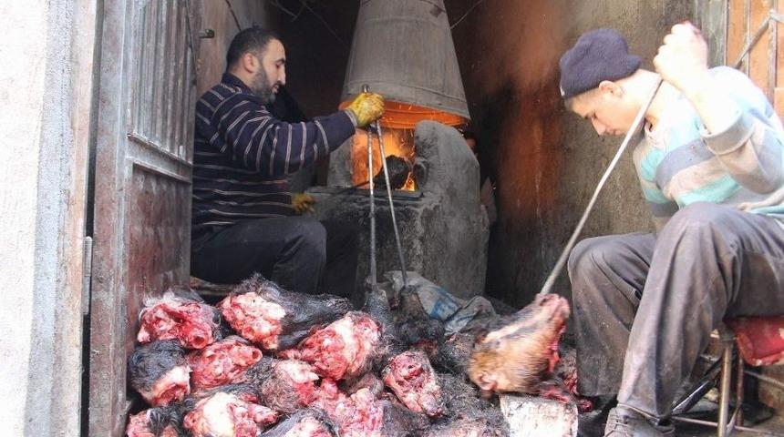 60 Yıldır Kele Pa&ccedil;a Satıyorlar