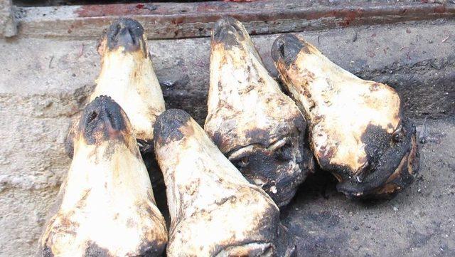 60 Yıldır Kele Pa&ccedil;a Satıyorlar 1