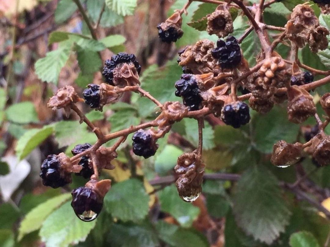 Beyt&uuml;şşebap&rsquo;ta Kartpostallık G&ouml;r&uuml;nt&uuml;ler Oluştu