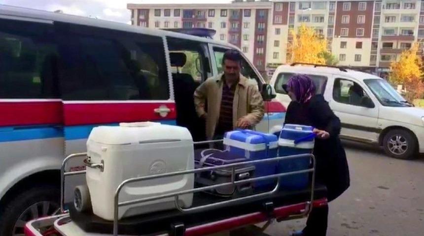 Kazada Hayatını Kaybeden Kadının Organları İki Hastaya Umut Oldu