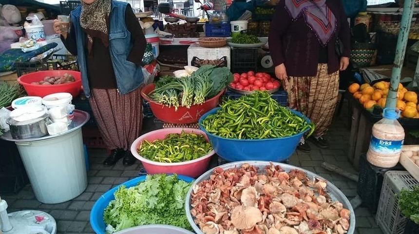 Fındık Mantarı Tezgahlarda