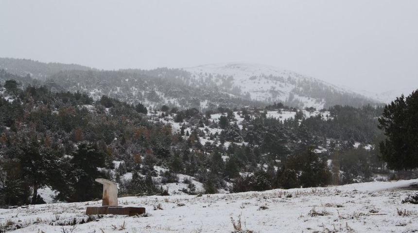 Aladağ Beyaza B&uuml;r&uuml;nd&uuml;