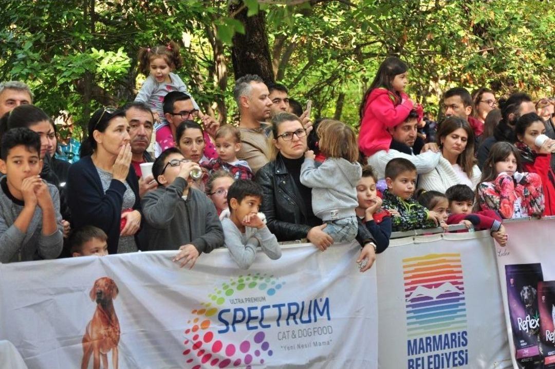 Marmaris&rsquo;in En G&uuml;zel K&ouml;pekleri Se&ccedil;ildi