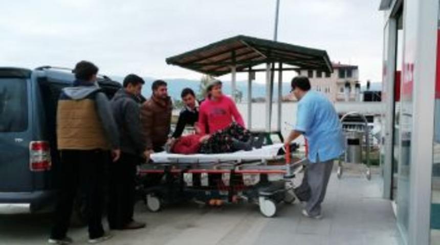 Zeytin Ağacından D&uuml;şen 78 Yaşındaki Kadın Kal&ccedil;asını Kırdı