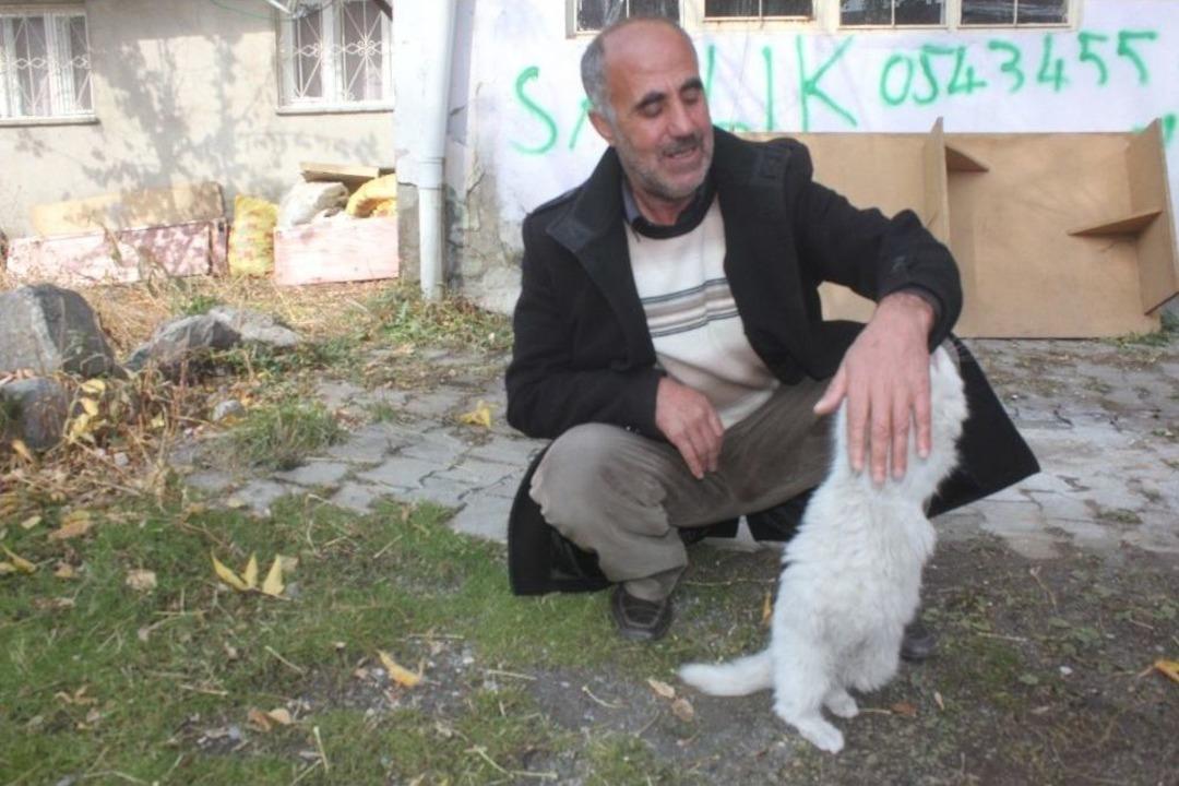 Ağrılı Vatandaş G&ouml;z&uuml; K&ouml;r Olan Kedi İ&ccedil;in Yardım Bekliyor