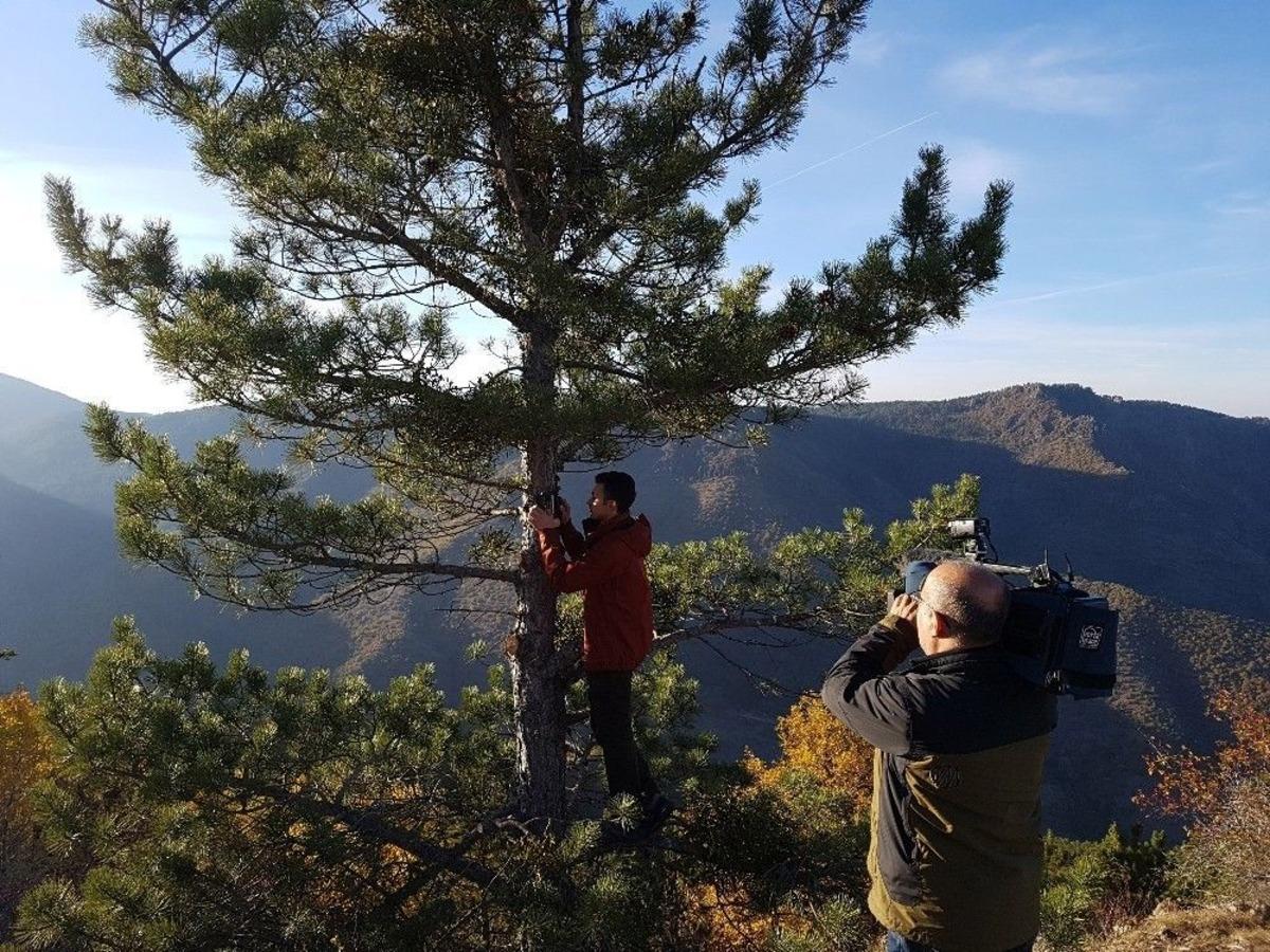 (&ouml;zel Haber) Başkent&rsquo;in Yaban Hayatına K&ouml;pek Tehdidi Fotokapan İle G&ouml;r&uuml;nt&uuml;lendi