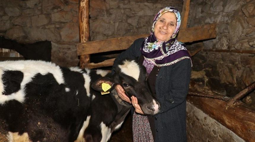 Trafik Kazasıyla Gelen Mani S&ouml;yleme Hastalığı &Uuml;mmani Teyzenin Evine Neşe Getirdi