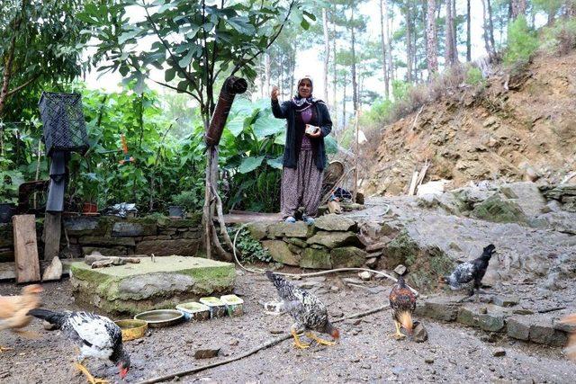 Trafik Kazasıyla Gelen Mani S&ouml;yleme Hastalığı &Uuml;mmani Teyzenin Evine Neşe Getirdi 1