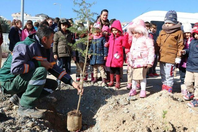 Çankaya’da Ağaç Dikimi Seferberliği 1