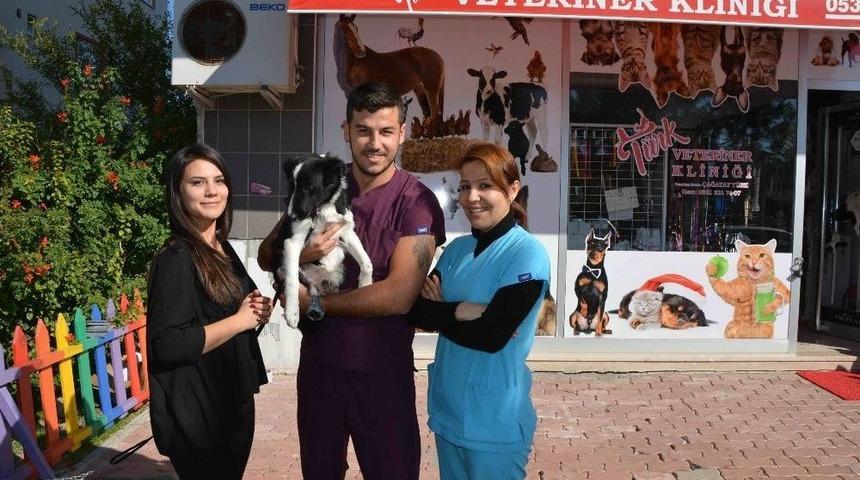 Bu Sevimli Hayvan Sahibini Arıyor
