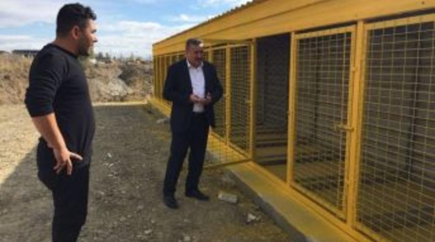 Seydişehir Belediyesinden Sokak Hayvanlarına Barınak