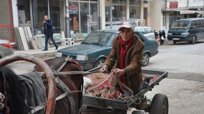 (&ouml;zel Haber) At Arabasına Kesilen Trafik Cezası Hem G&uuml;ld&uuml;rd&uuml; Hem D&uuml;ş&uuml;nd&uuml;rd&uuml;