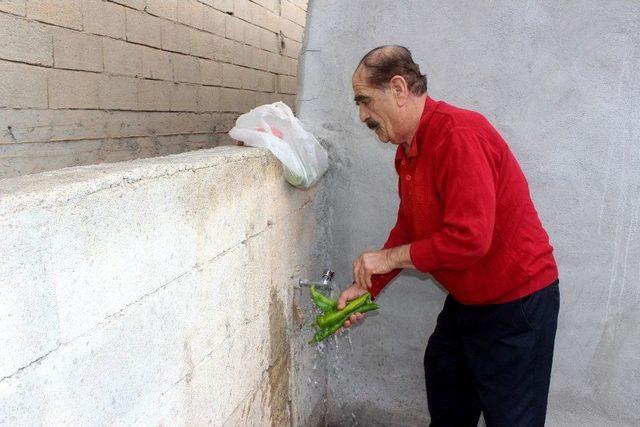 Yedi Dil Bilen Yörük, Bildiği Her Dilde Kısmet Arıyor