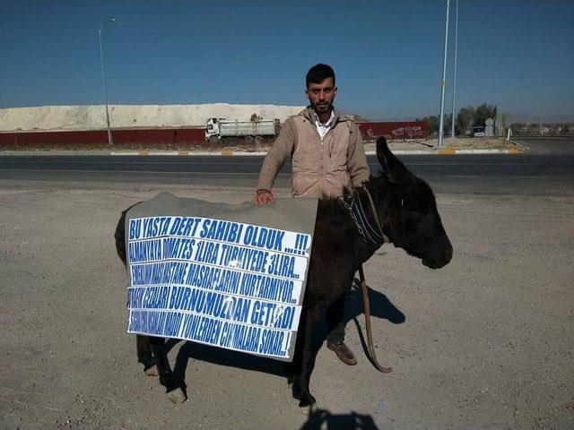 Akaryakıt Zammı Sonrası Çareyi Eşeğe Binmekte Buldu