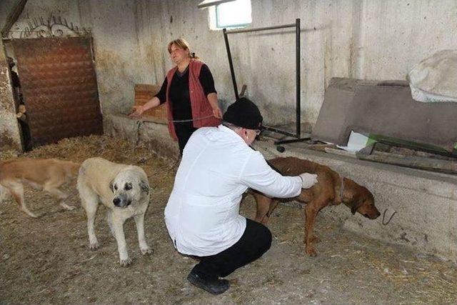 Başkan Şahiner Yardım Çağrısına Duyarsız Kalmadı