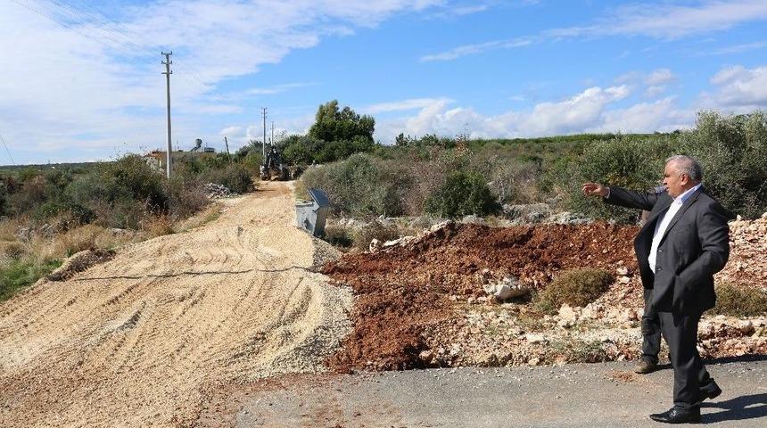 Başkan Tollu, Selden Zarar Gören Yerlerde İncelemelerde Bulundu