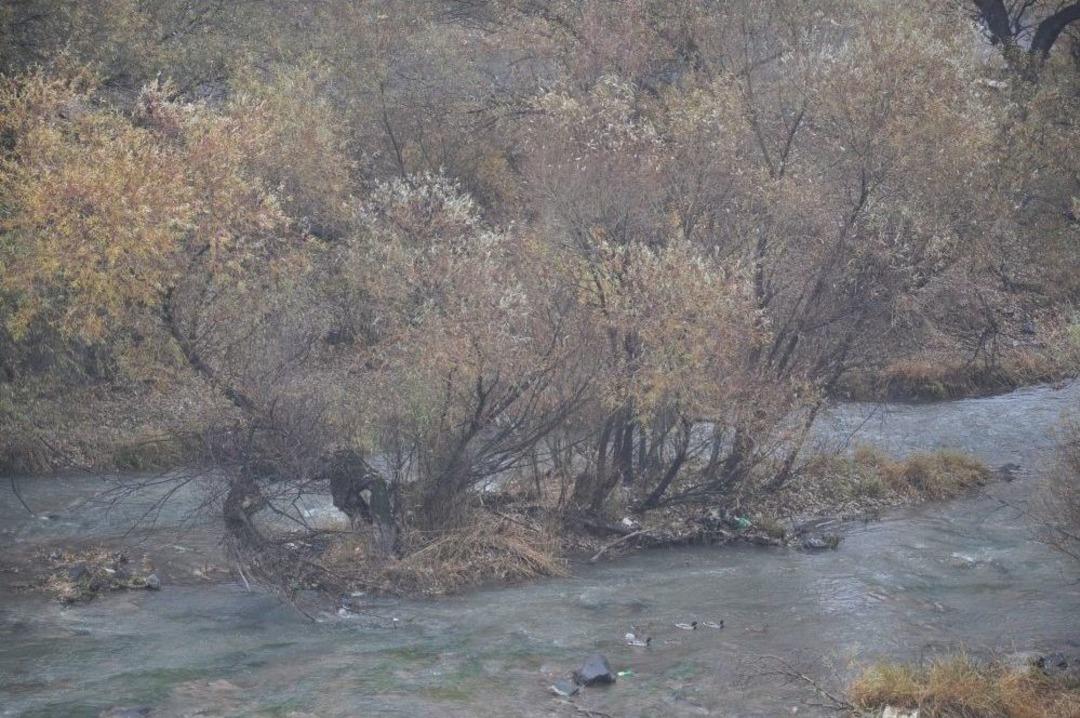 Kars&rsquo;ta Kartpostallık Manzaralar