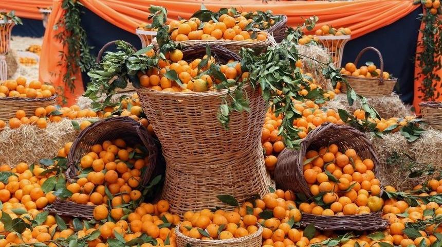 Seferihisar&rsquo;da Turuncu Festival İ&ccedil;in Artık Geri Sayım