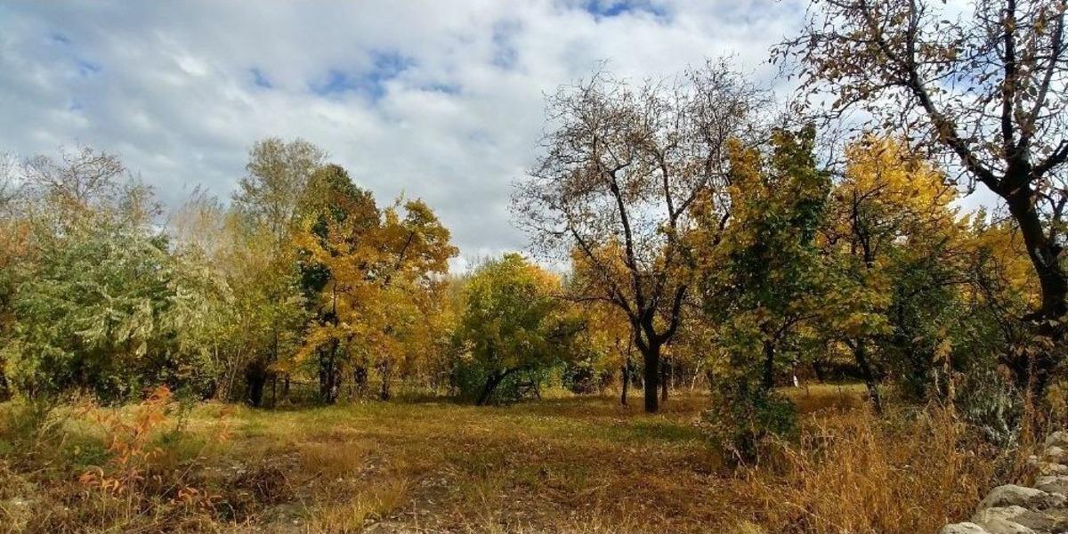 Edremit&rsquo;te Kış &Ouml;ncesi Renk C&uuml;mb&uuml;ş&uuml;