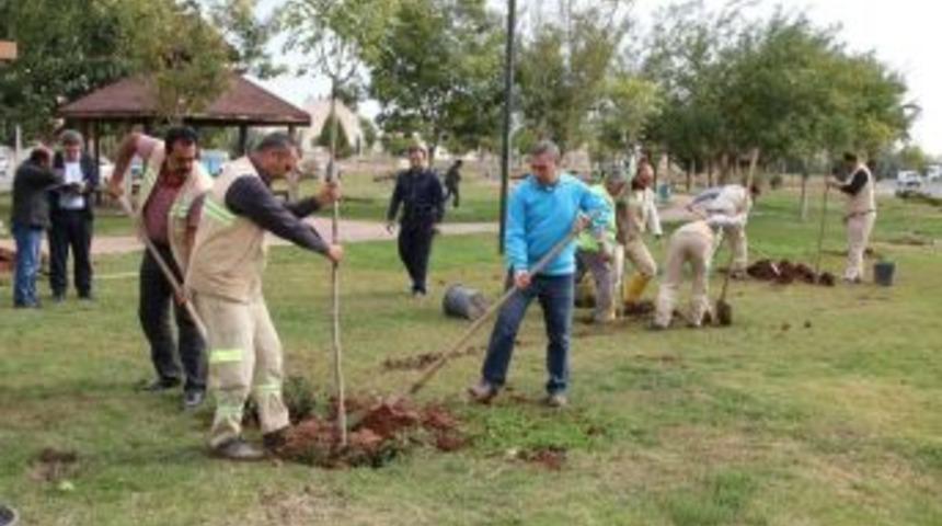 Haliliye&rsquo;de Yeşillendirme &Ccedil;alışmaları S&uuml;r&uuml;yor