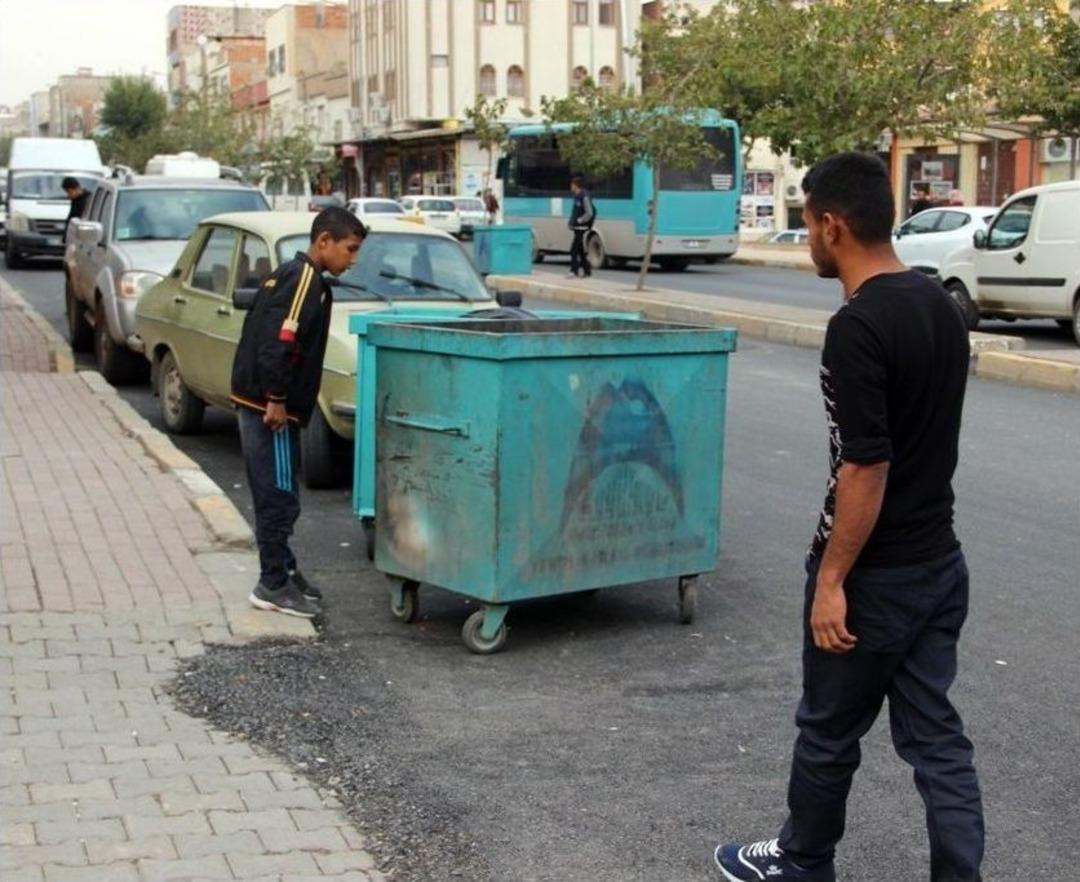 Yaşlı Kadının Zehirlediği Kedileri &Ccedil;&ouml;pe Attığı İddiası