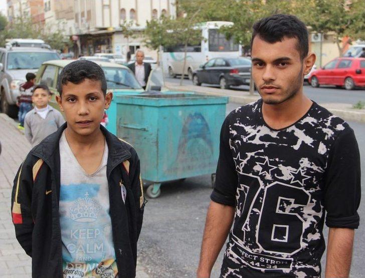 Yaşlı Kadının Zehirlediği Kedileri Çöpe Attığı İddiası G1