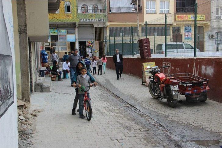 Yaşlı Kadının Zehirlediği Kedileri Çöpe Attığı İddiası G3