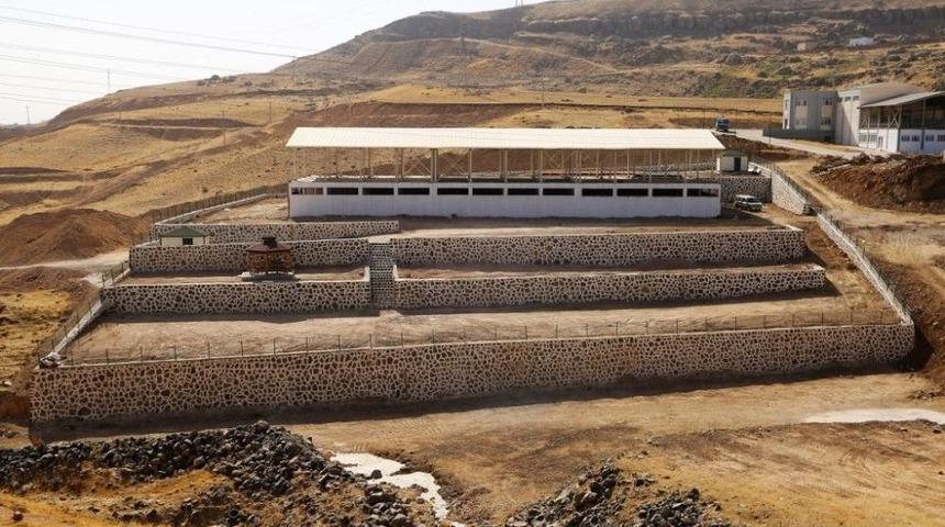 Cizre’de Hayvan Pazarı Çalışmaları Devam Ediyor