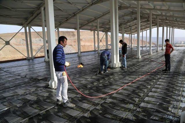 Cizre’de Hayvan Pazarı Çalışmaları Devam Ediyor