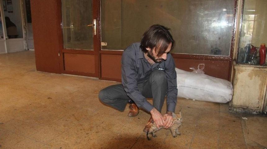 Kilis’te Yavru Kedi Kurtarma Operasyonu