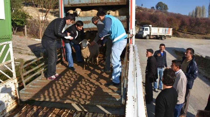 Pazarlar&rsquo;da Gen&ccedil; &Ccedil;ift&ccedil;i Projesi Başvuruları Başladı