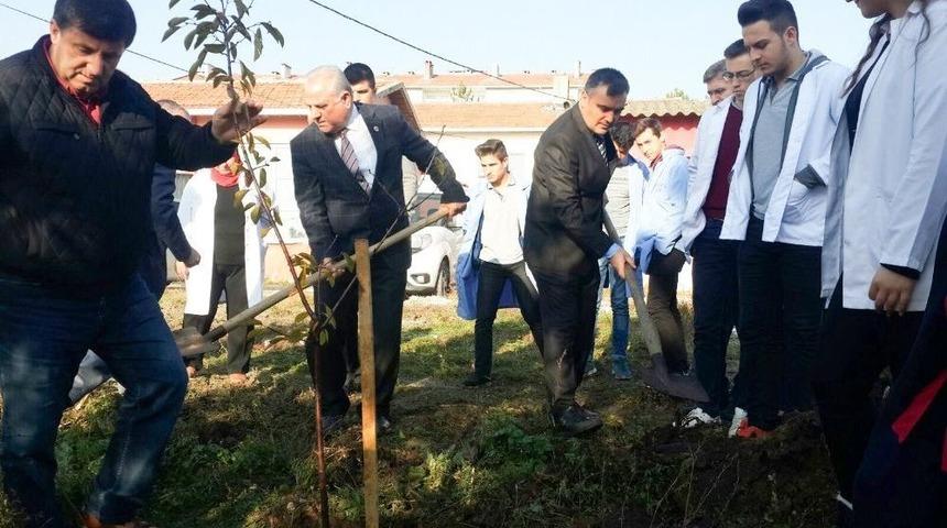 43 Yıla 43 Fidan Etkinliği