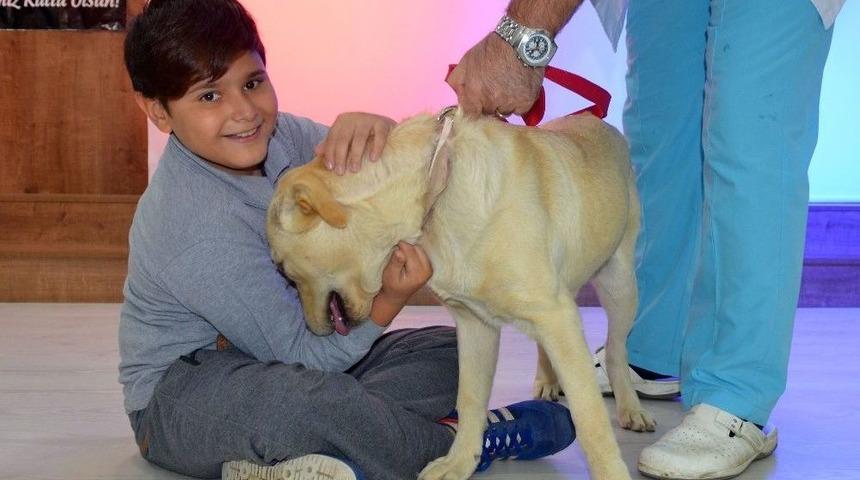 Osmangazi&rsquo;den &Ouml;ğrencilere Hayvanlarla İletişim Dersi