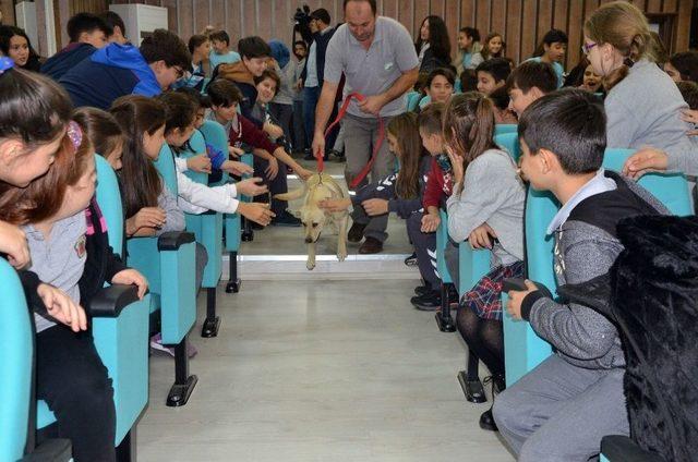 Osmangazi’den Öğrencilere Hayvanlarla İletişim Dersi